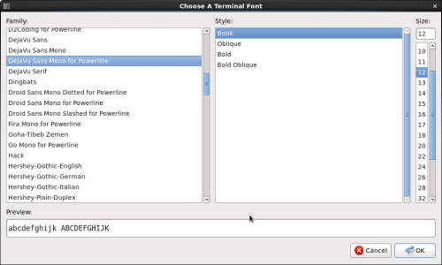 Screenshot-ChooseATerminalFont.png