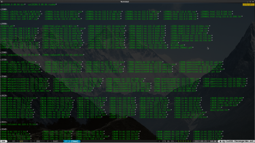 Screenshot-Terminal-1.png