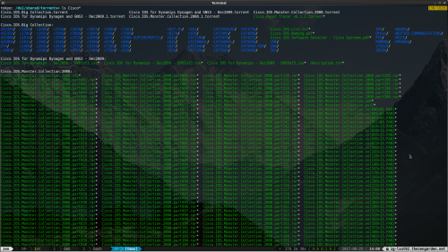 Screenshot-Terminal.png